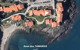 Collioure Appart En Bord De Mer Plage A 50M Clim Garage Location Du Samedi Au Samedi