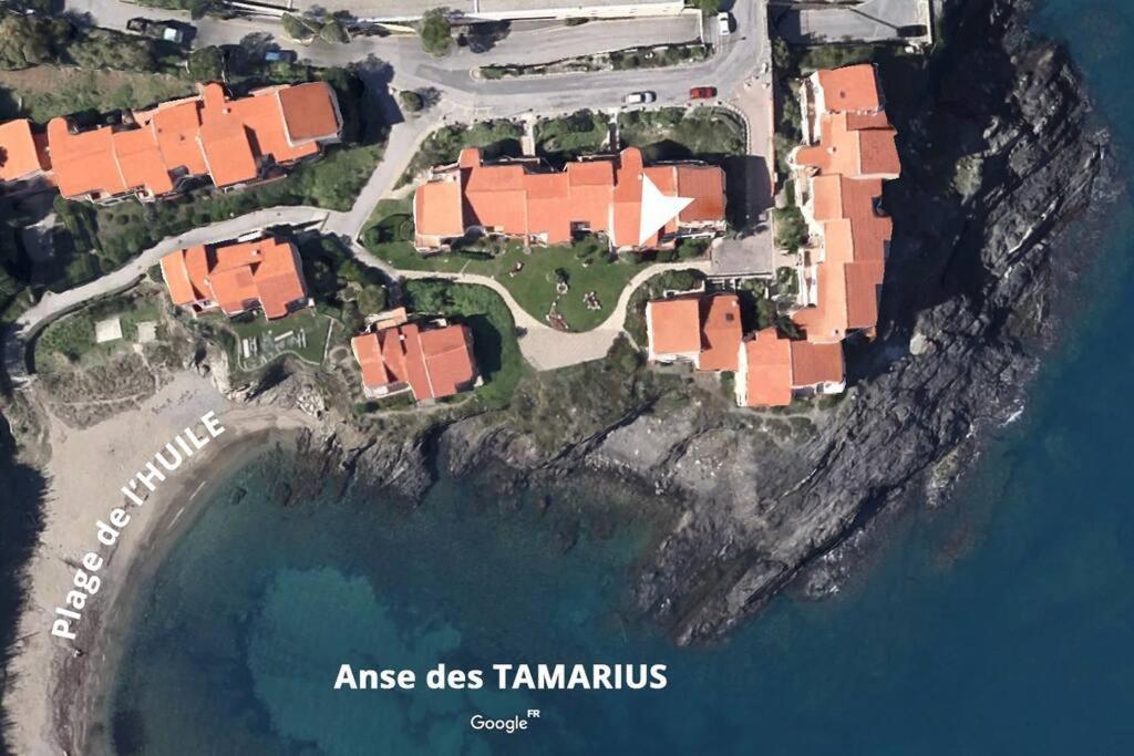 Collioure Appart En Bord De Mer Plage A 50M Clim Garage Location Du Samedi Au Samedi Extérieur photo