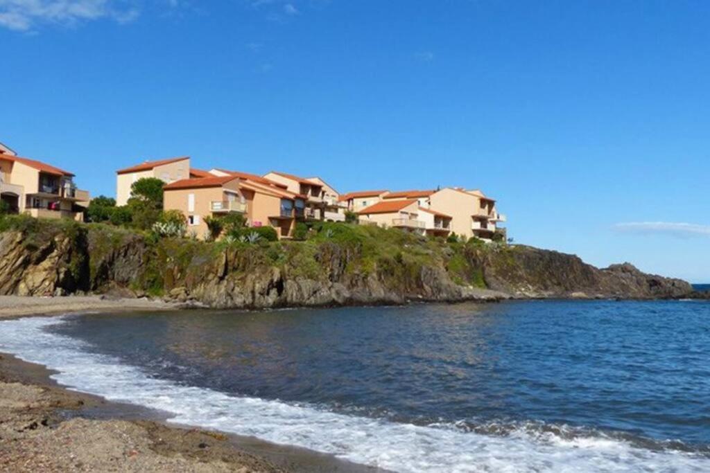 Collioure Appart En Bord De Mer Plage A 50M Clim Garage Location Du Samedi Au Samedi Extérieur photo